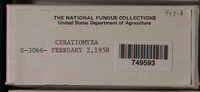 Image Associated With the Occurence